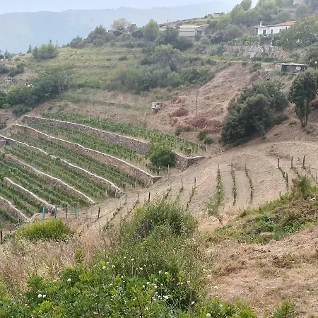 Sant'anna *