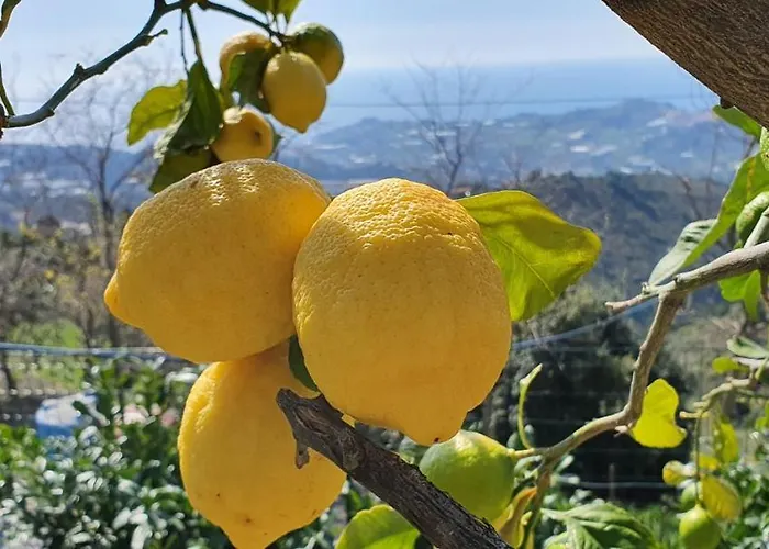 Feriegård Sant'anna Sanremo