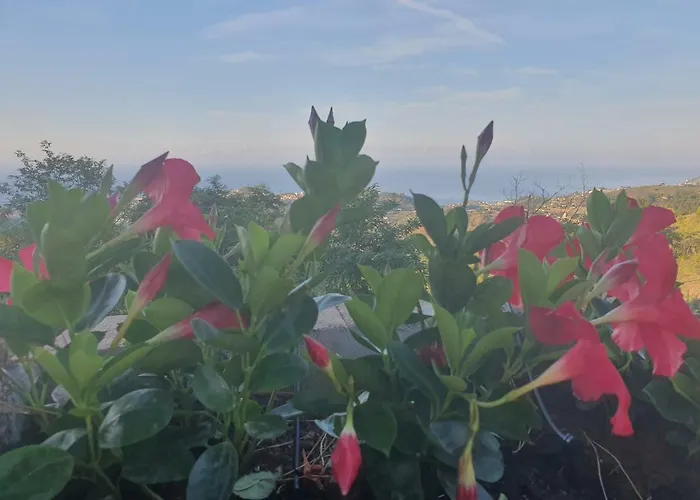 Feriegård Sant'anna Sanremo