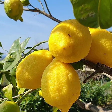 Gospodarstwo agroturystyczne Sant'anna *