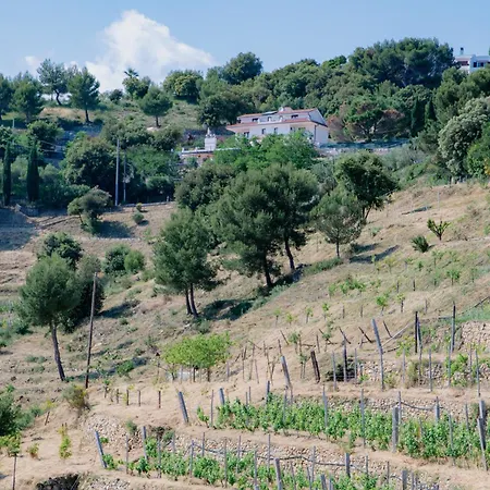 Sant'anna Vakantieboerderij San Remo