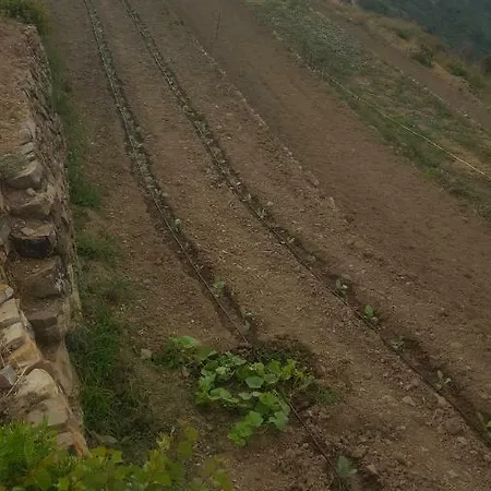Sant'anna سانريمو