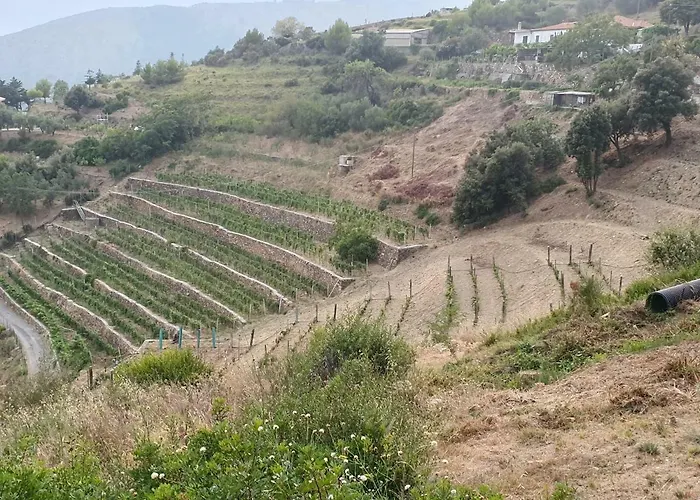 Sant'anna *